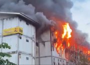 Si Jago Merah Lahap Lantai 3 dan 4 Gedung HPK I IKN