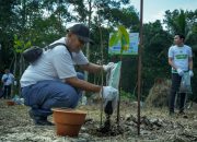 PLN Tanam 1.500 Pohon di Wisata Meranti, Perkuat Ekosistem DAS Manggar di HMPI 2025