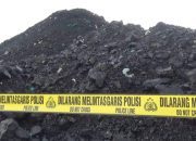 Pemodal Tambang Ilegal di Tahura Bukit Soeharto Ditangkap, Kerugian Negara Capai Rp5,7 Triliun