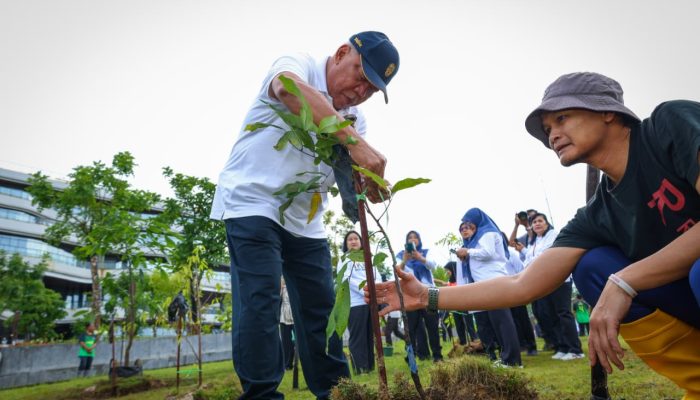 Otorita IKN Tanam 600 Pohon Bangun Konsep Forest City