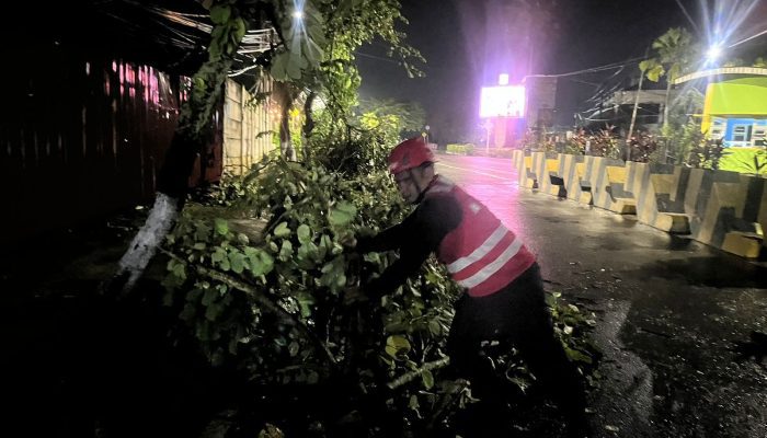 Batalyon A Brimob Kaltim Respons Cepat Evakuasi Pohon Tumbang di BJBJ Balikpapan