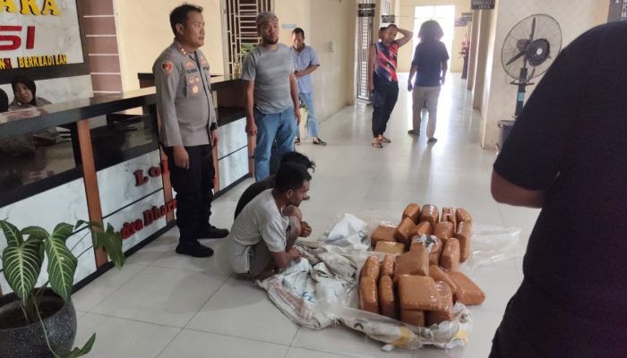 Di Tengah Pemulihan Pascabanjir, Polres Aceh Tenggara Berhasil Gagalkan Peredaran 50,7 Kg Ganja
