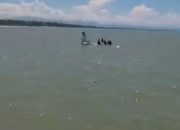 Pesawat Smart Air Jatuh di Pantai Nabire, 15 Penumpang dan Kru Selamat