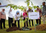Ibu Kota Nusantara: MenPANRB dan Otorita IKN Tanam 850 Pohon di KIPP