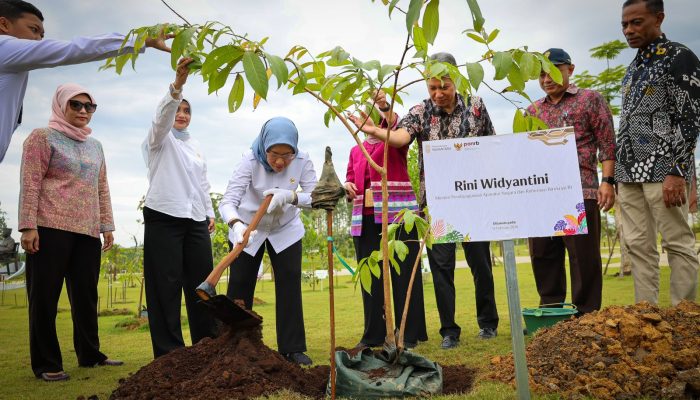 Ibu Kota Nusantara: MenPANRB dan Otorita IKN Tanam 850 Pohon di KIPP