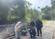 Gotong Royong Bangun Akses Desa, Kompi 2 Batalyon B Pelopor Revitalisasi Jembatan Sungai Lungau