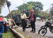 Brimob Kaltim Lakukan Penanganan Awal Kecelakaan Lalu Lintas di Balikpapan