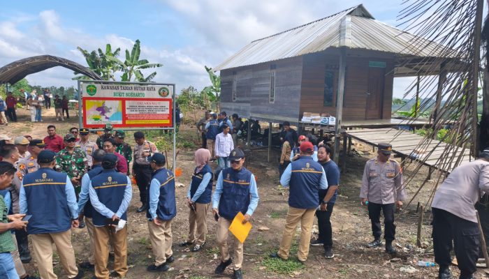 60 Persen Tahura Bukit Soeharto Rusak, Otorita IKN Bertindak Tegas