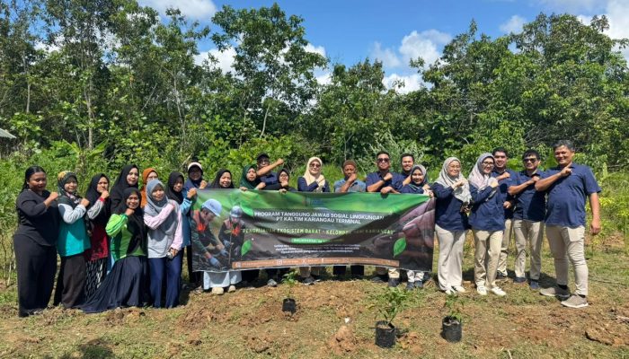 KKT Dorong Kemandirian Pangan Warga Kariangau Lewat KRPL Cabe Ceria