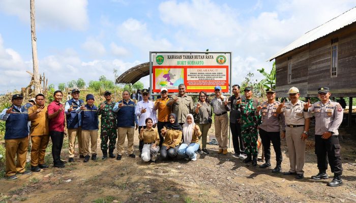 Otorita IKN Pulihkan Tahura Bukit Soeharto dari Perambahan