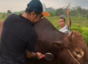 Aturan Jualan Hewan Kurban Balikpapan 2026