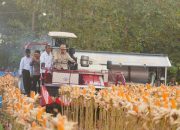 Prabowo dan Kapolri Perkuat Ketahanan Pangan Lewat Panen Jagung Nasional
