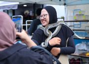 Pameran Reptil IKN Tarik Antusias Pengunjung di Nusantara Park