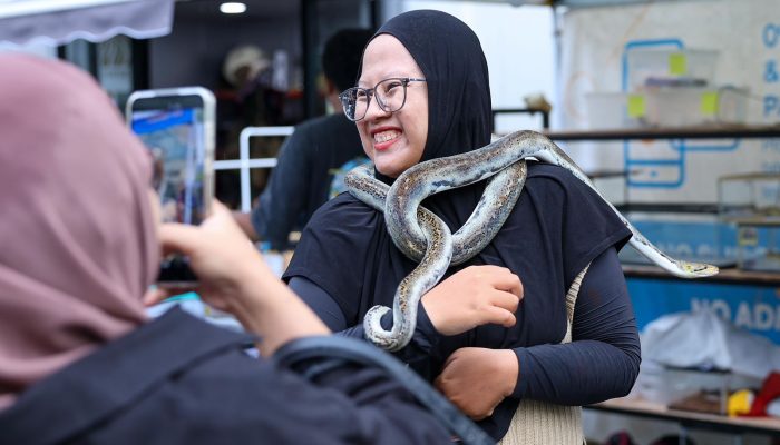 Pameran Reptil IKN Tarik Antusias Pengunjung di Nusantara Park