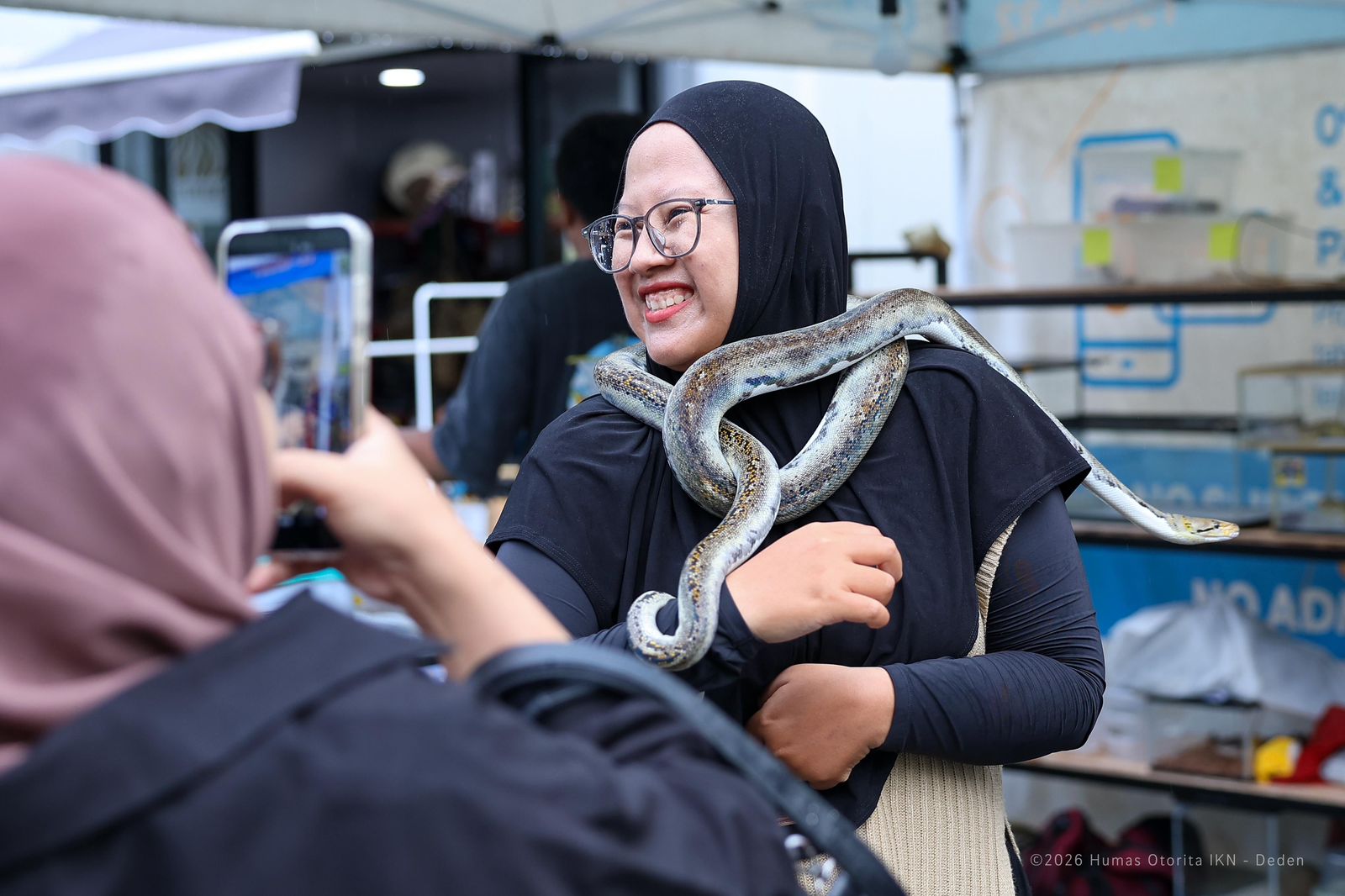 Pengunjung berinteraksi dengan ular sanca dalam pameran reptil di Nusantara Park kawasan IKN.