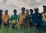 Balikpapan Tambah 56 Hektare Sawah Baru di Gunung Binjai