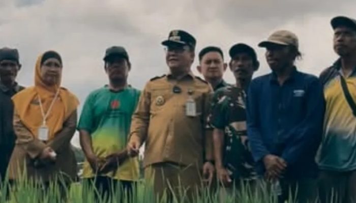 Balikpapan Tambah 56 Hektare Sawah Baru di Gunung Binjai