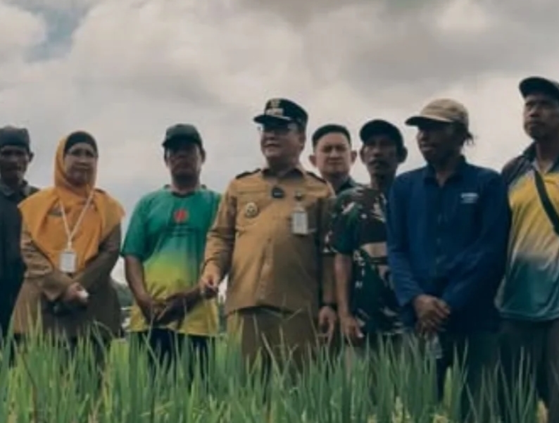 Wakil Wali Kota Balikpapan Bagus Susetyo meninjau kawasan persawahan Gunung Binjai di Balikpapan Timur