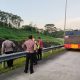 Personel Satbrimob Polda Kaltim melakukan penanganan kebakaran lahan di Jalan Pulau Balang Km 13, Balikpapan Utara, dekat Tol Balikpapan–Samarinda.