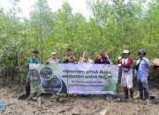 Pertamina EP Bunyu Field Tanam 1.000 Bibit untuk Lestarikan Pesisir dan Perkuat Ekonomi Warga