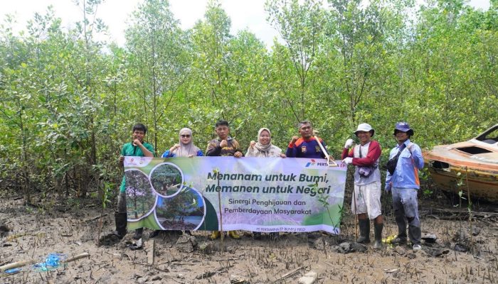 Pertamina EP Bunyu Field Tanam 1.000 Bibit untuk Lestarikan Pesisir dan Perkuat Ekonomi Warga