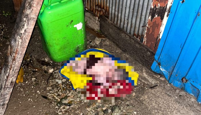 Penemuan Bayi di Balikpapan, Polisi Buru Pelaku Penelantaran