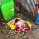 Bayi perempuan yang ditemukan terbungkus kain kuning di depan rumah warga di Gang Villa, Balikpapan Selatan.